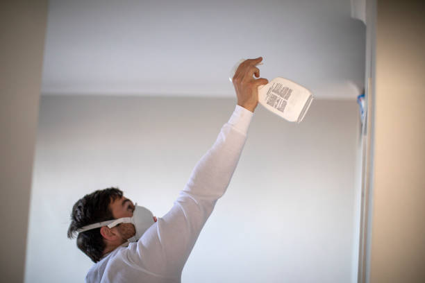 Best DIY Mold Remediation Support Services in Sunset Hills, MO