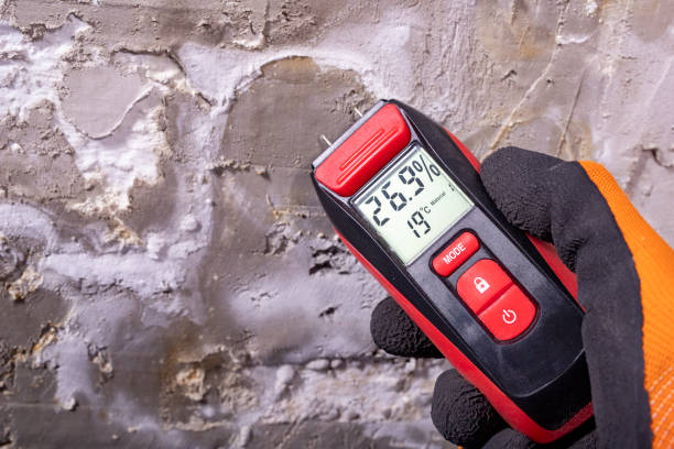 Best Attic Mold Remediation in Sunset Hills, MO