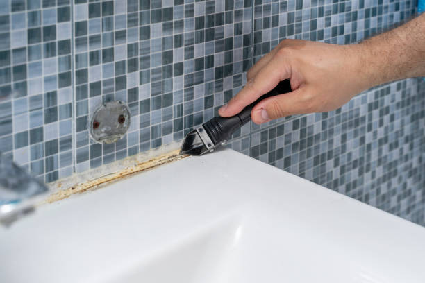 Best Preventive Mold Services in Sunset Hills, MO